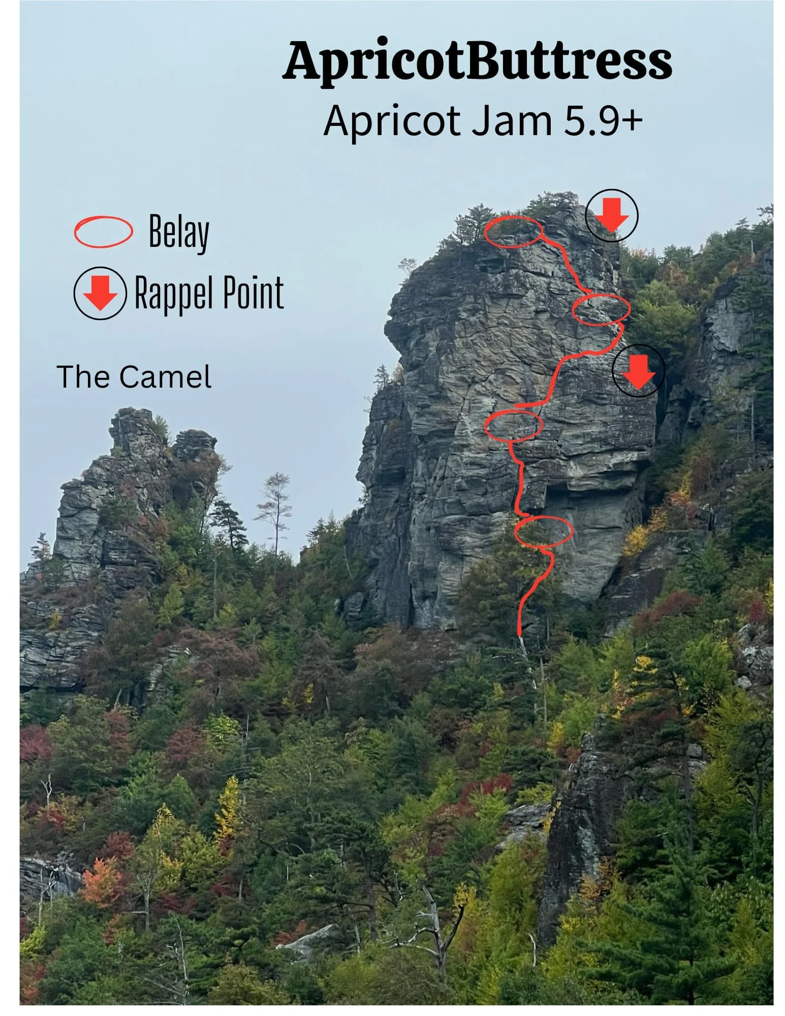 A mountain with a trail marked with red circles and red arrows, indicating stops along the route. The trail starts at the bottom and winds up to the top, passing through a rocky cliff called The Camel. The image has a title "ApricotButtress" and a su