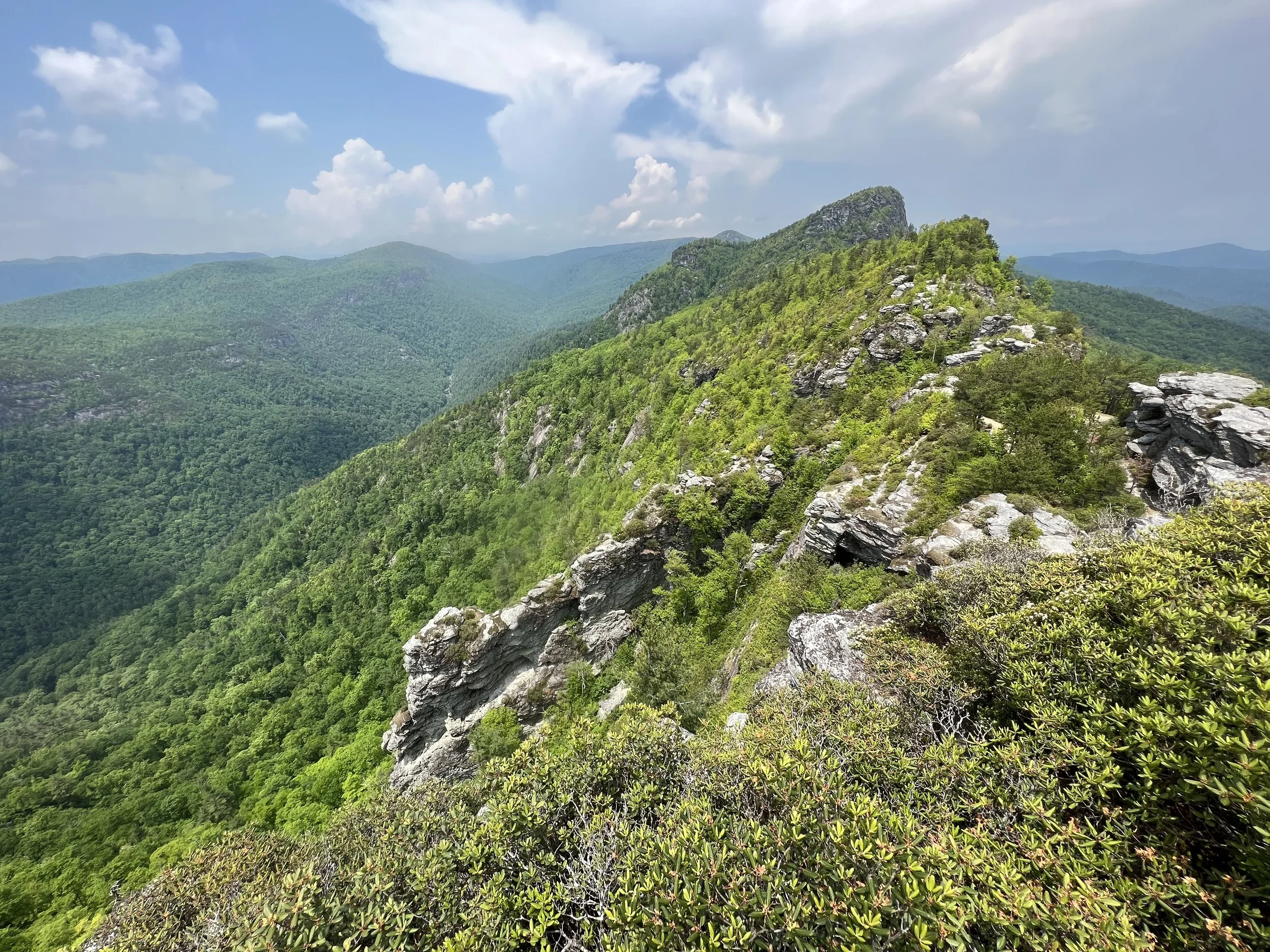 Mountainous landscape with lush green forests and rocky outcrops under a blue sky with clouds.