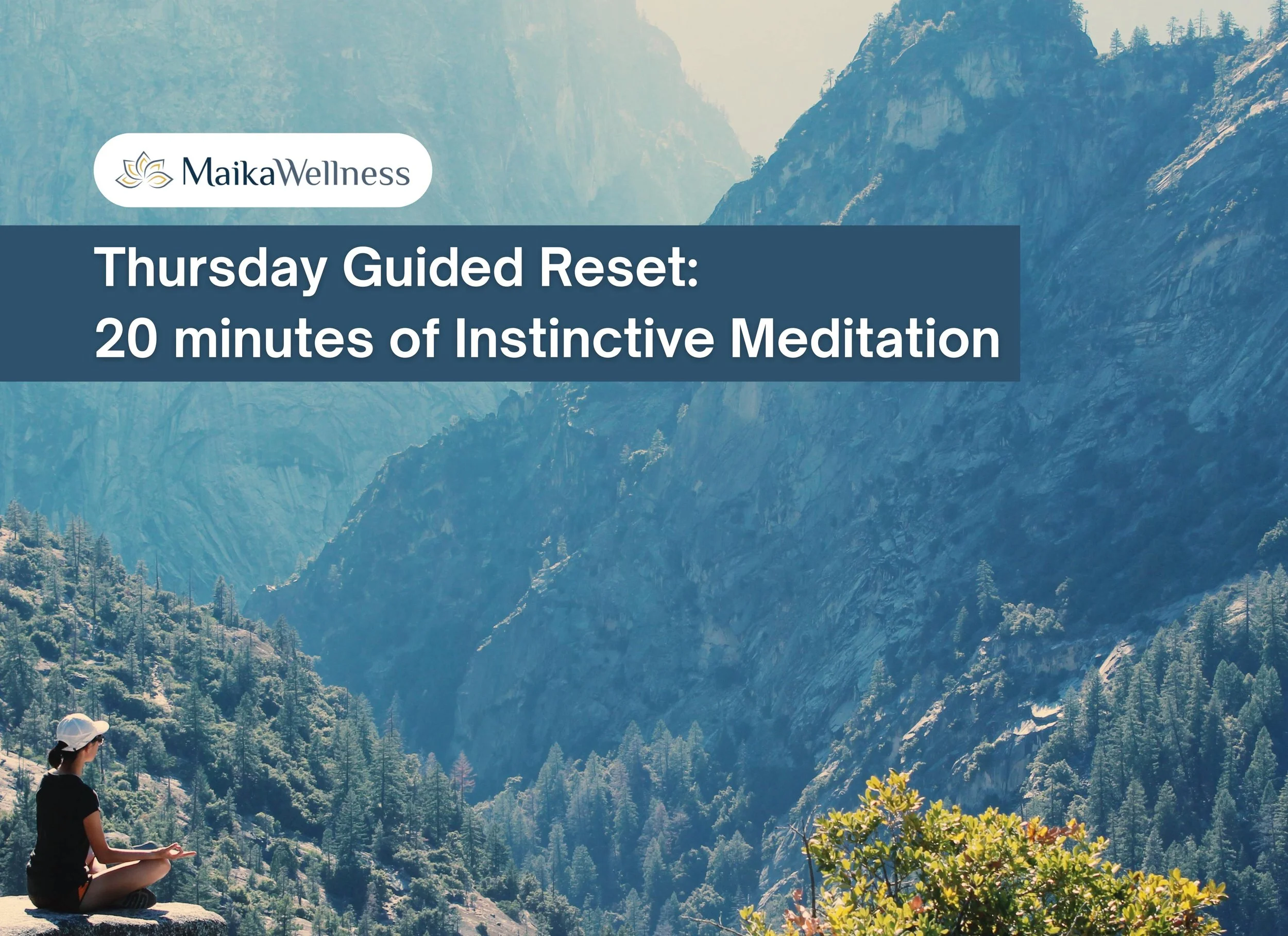 Thursday Guided Reset: 20 minutes of Instinctive Meditation