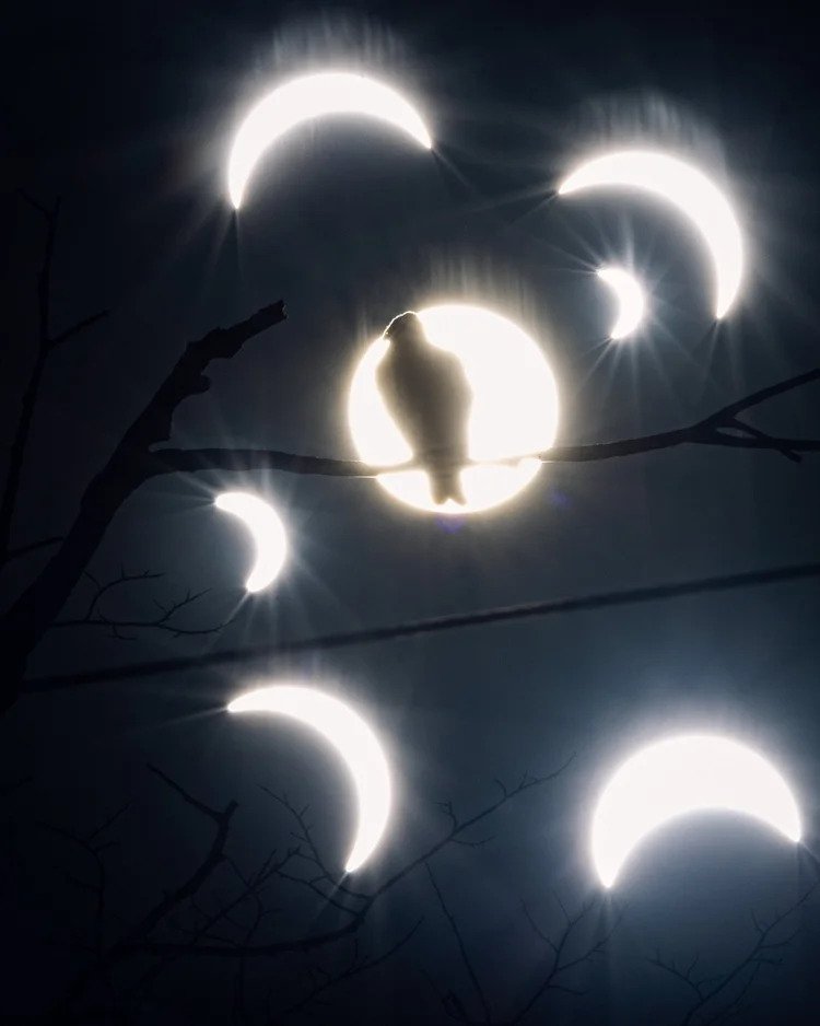 Tyler Franz Photography Workshop: Part 2 – Hands-On Learning