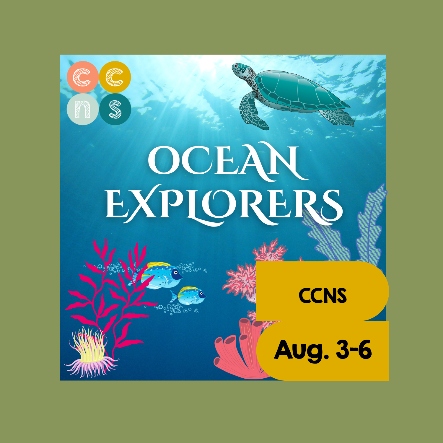 Aug 3-6, 2026 ON-SITE Ocean Explorers Summer Camp, 9am-1pm