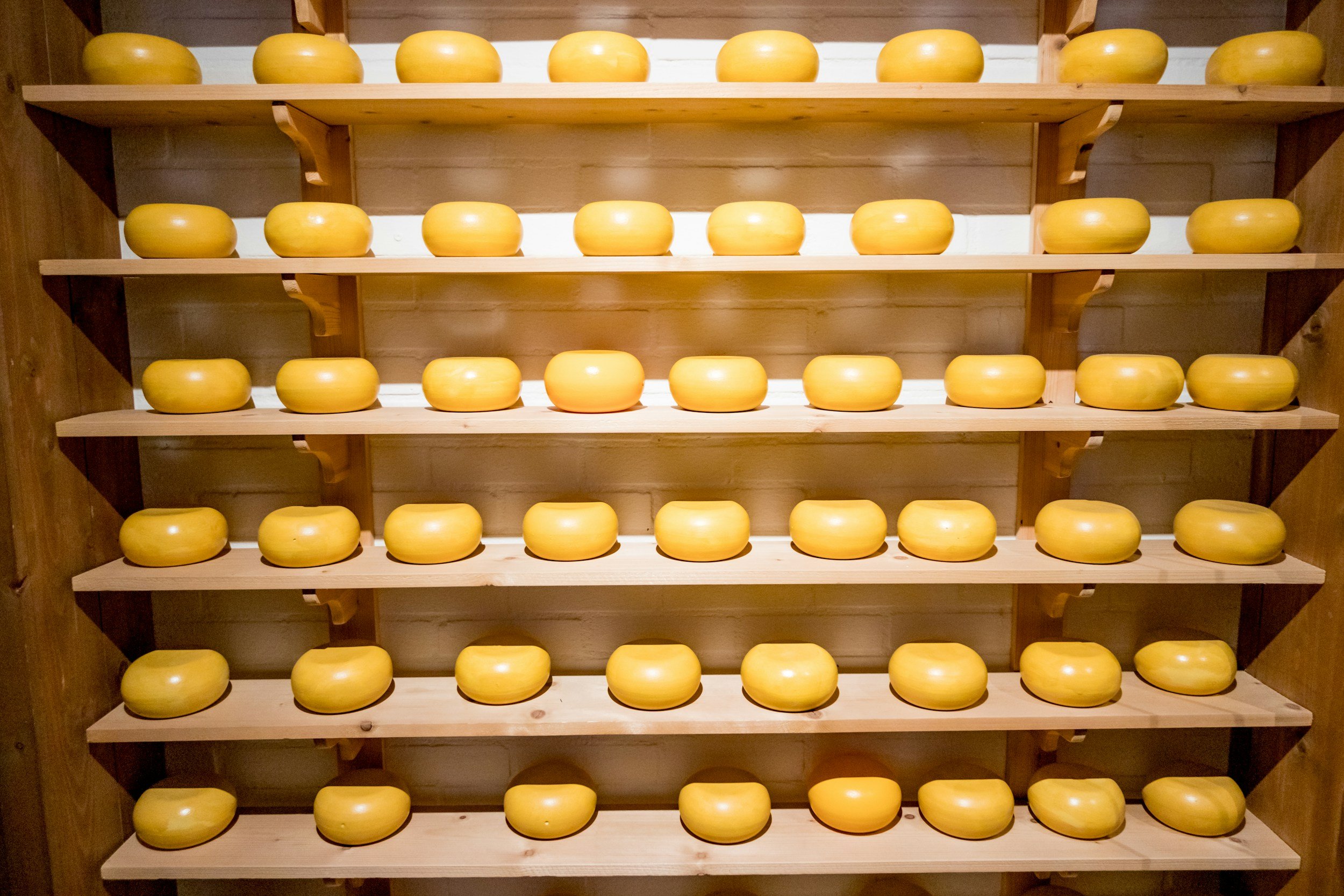 Variedad de quesos artesanales — aditivos alimentarios y materias primas grado alimenticio