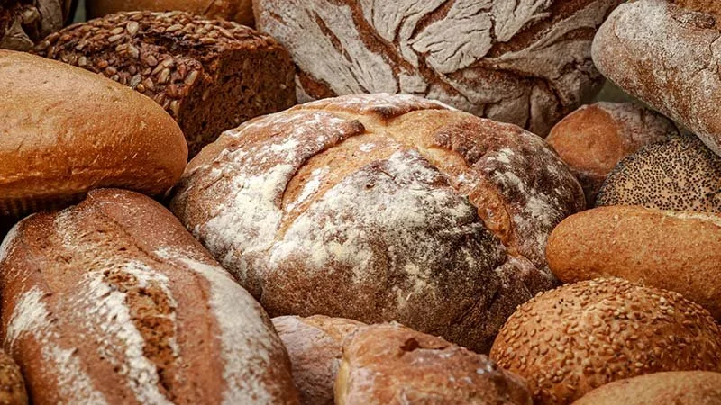 A variety of freshly baked bread loaves, including baguettes, round loaves, and bread with seeds, arranged together.