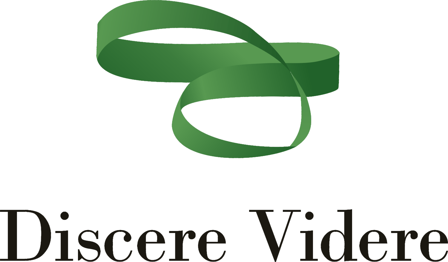 Discere Videre