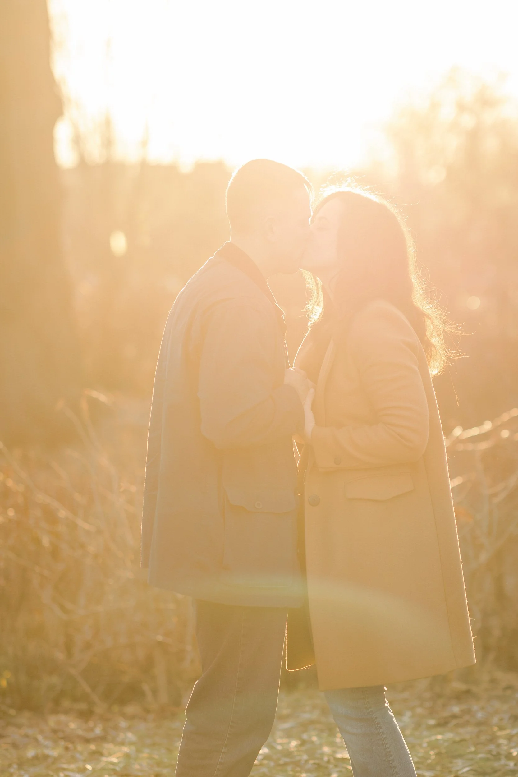 A couple kissing in the park at sunset