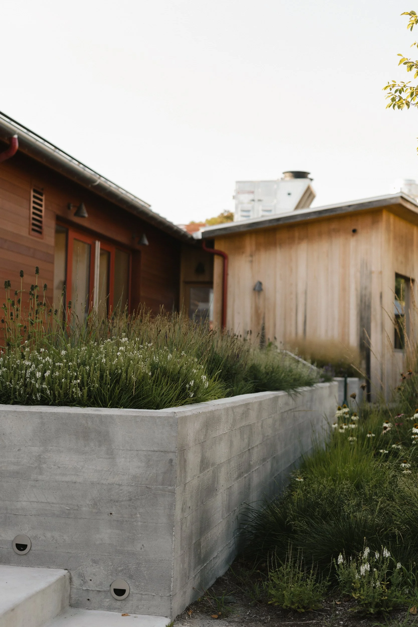 A small garden area in front of a wood building
