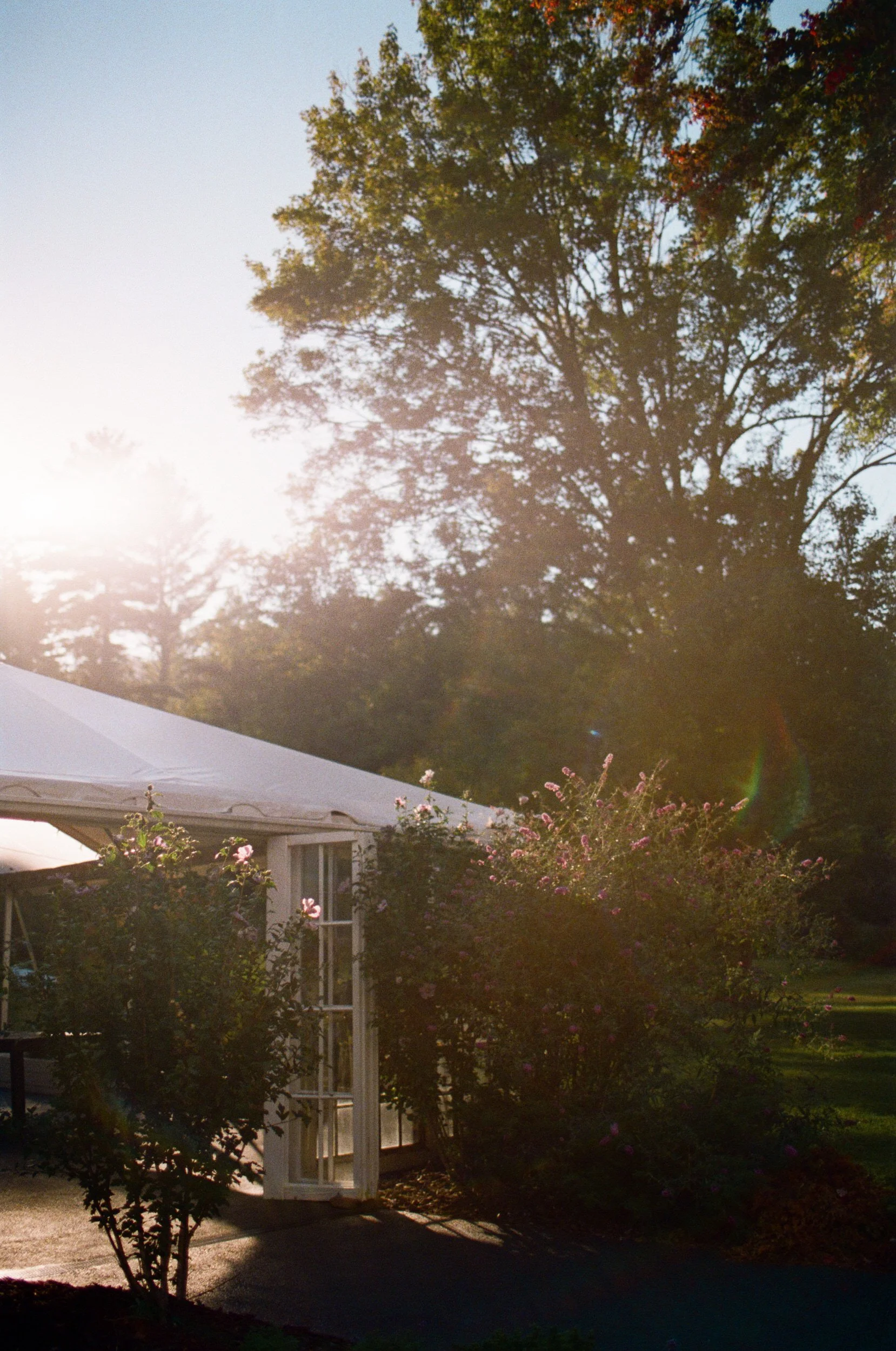  A tented hall in a field with a wooded area behind it 