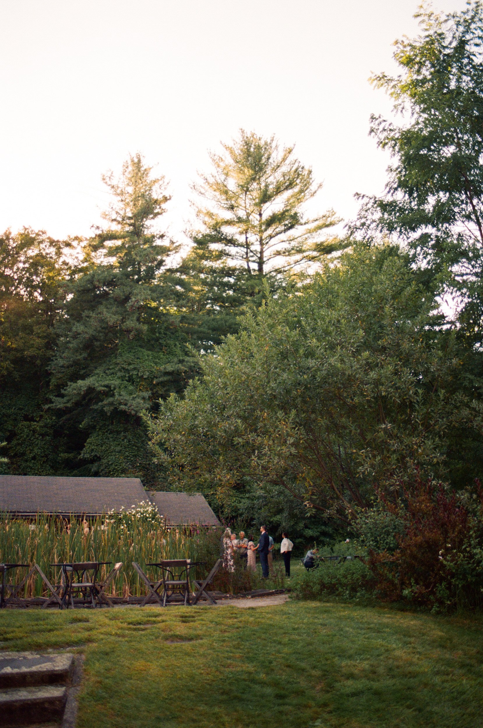  Wedding guests standing in a small garden area in a field at a wedding reception  