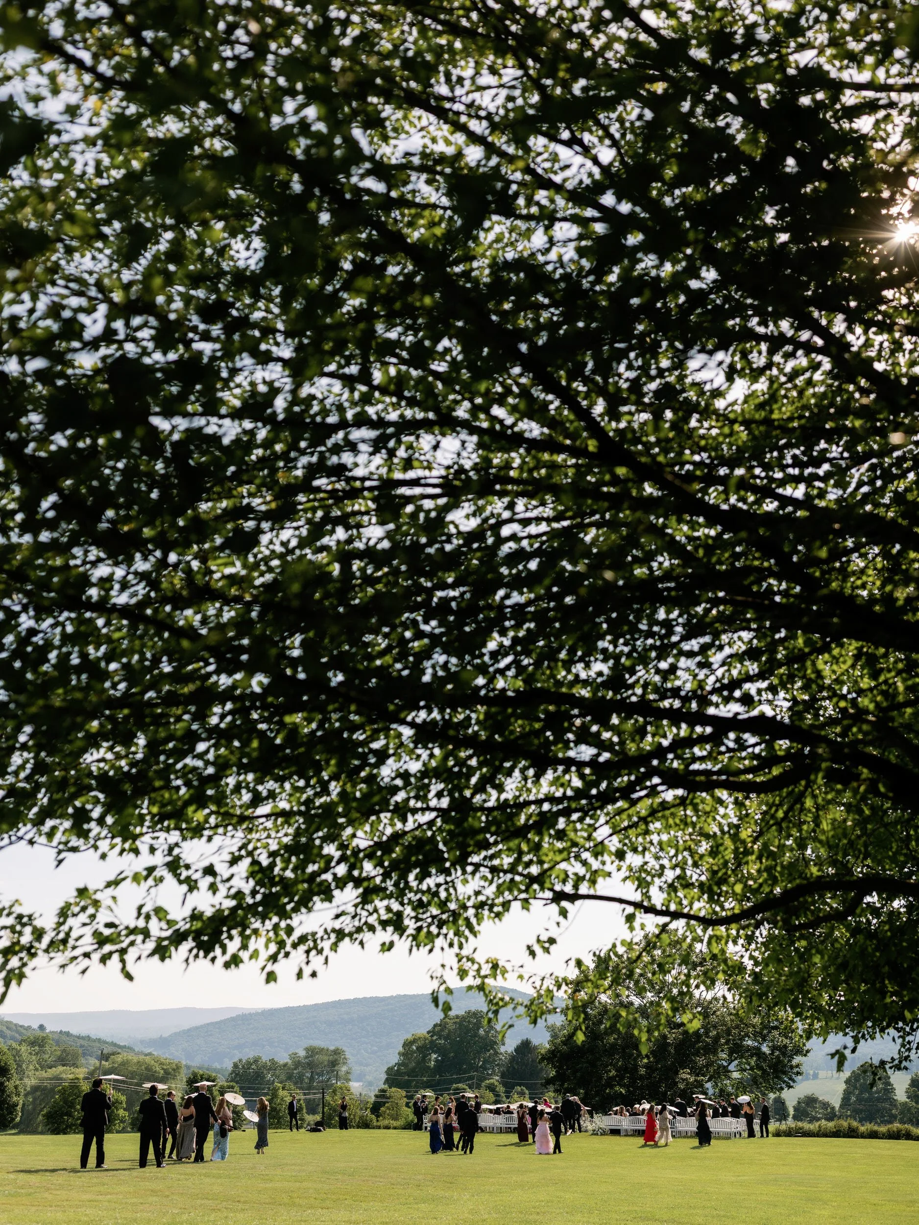  Wedding guests mingling and walking in a large, grassy field  
