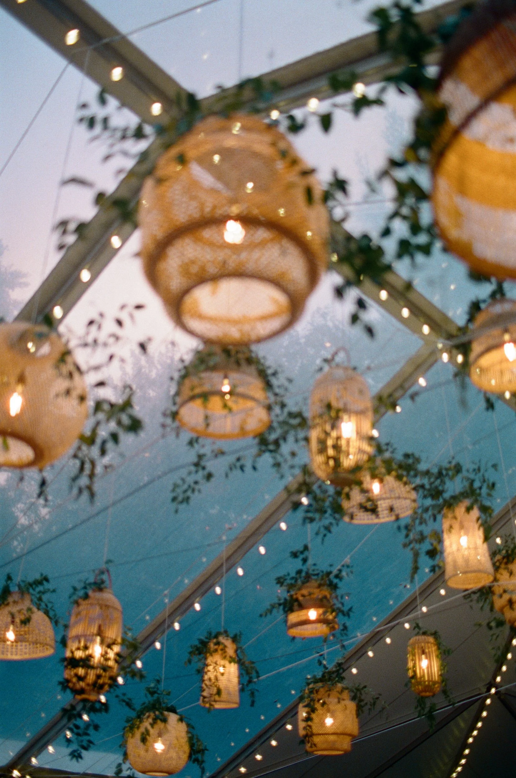 Lanterns and small greenery hanging from a tent ceiling