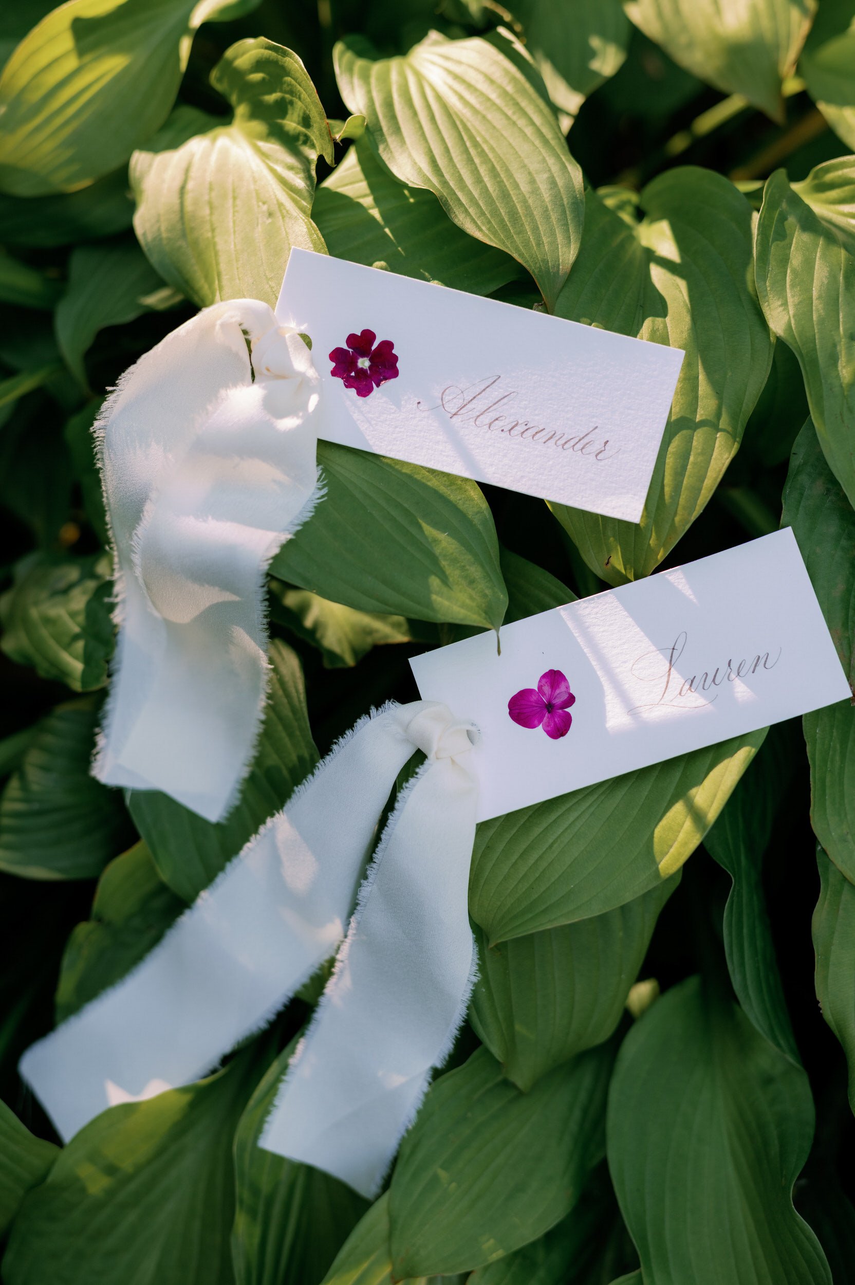 Small name cards laid on top of green leaves 