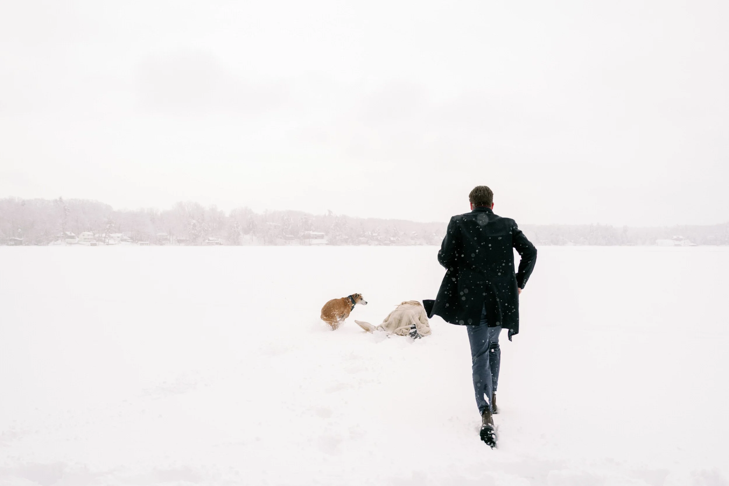A couple playing in the snow with their dog