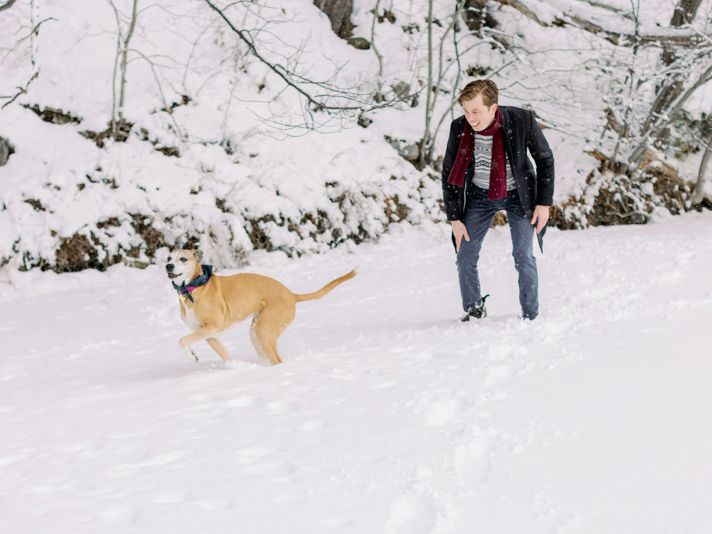 A person playing with their dog in the snow