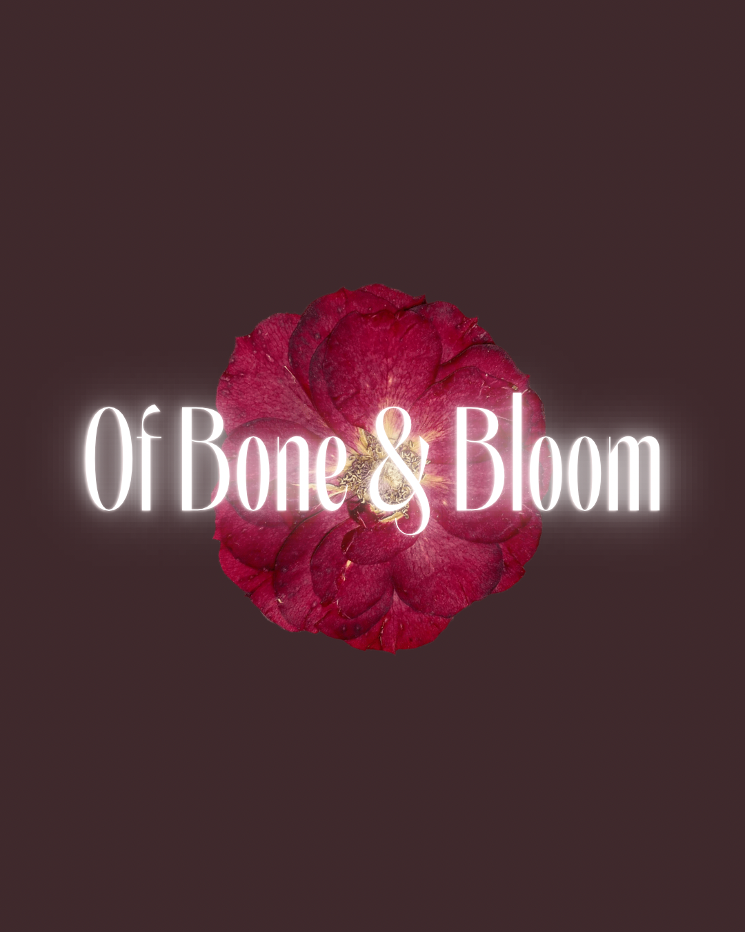 MOTHER OF PEARL - 3.PNG