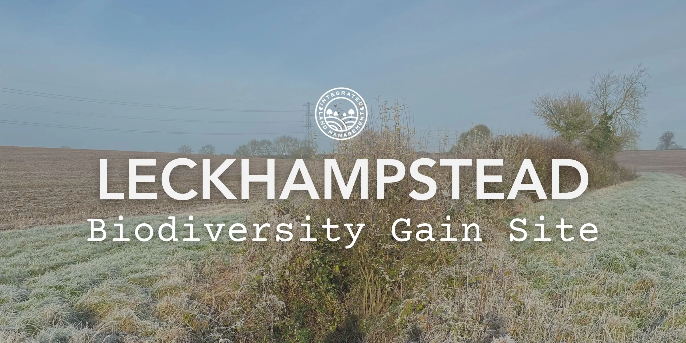 A view of Leckhampstead biodiversity gain site showing a field and ditch with a blue sky in the background