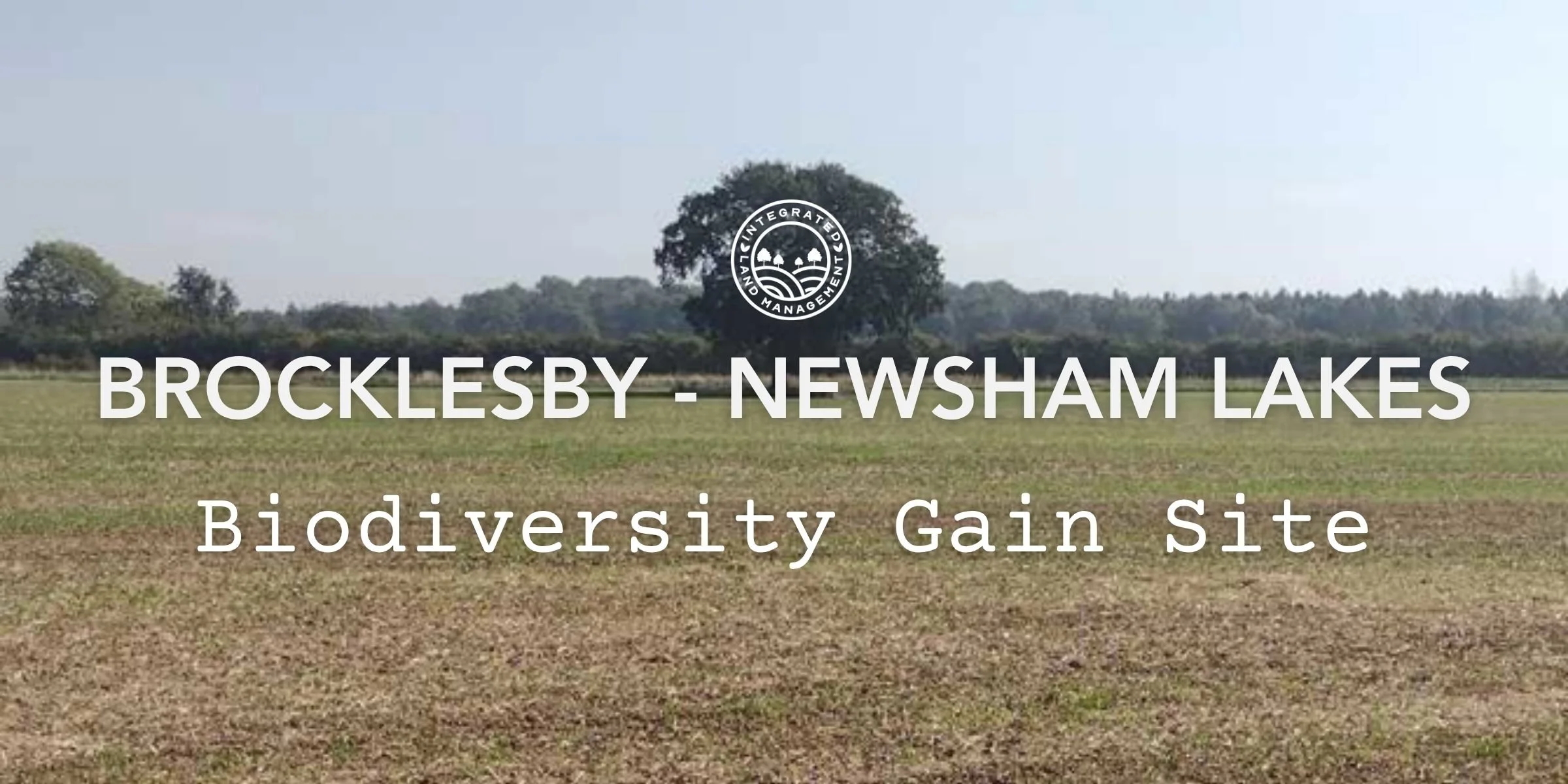 Brocklesby Newsham Lakes biodiversity gain site field with a hedgerow and large tree in the background