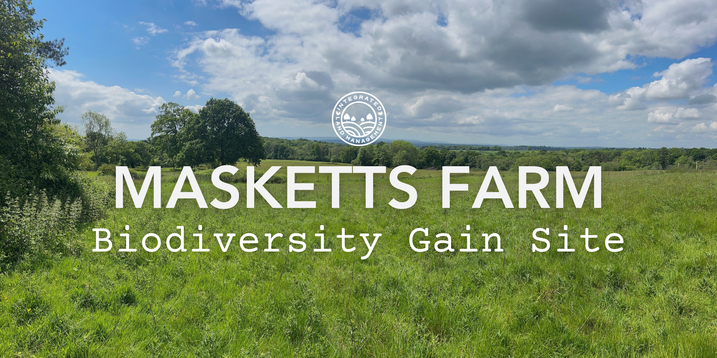 Masketts Farm Biodiversity Gain Site hero image showing pasture fields in the High Weald, located near Ashdown Forest within the Wealden local area.
