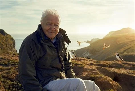 Wild Isles - the impact of nature documentaries.