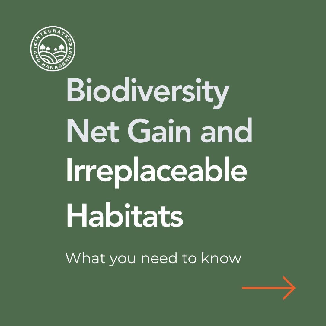 🌿📢Irreplaceable Habitats and BNG Update: Discover how this impacts your projects. 

The initial list is in line with the examples already within the National Planning Policy Framework. A consultation will be due next year, but we'd love to know you