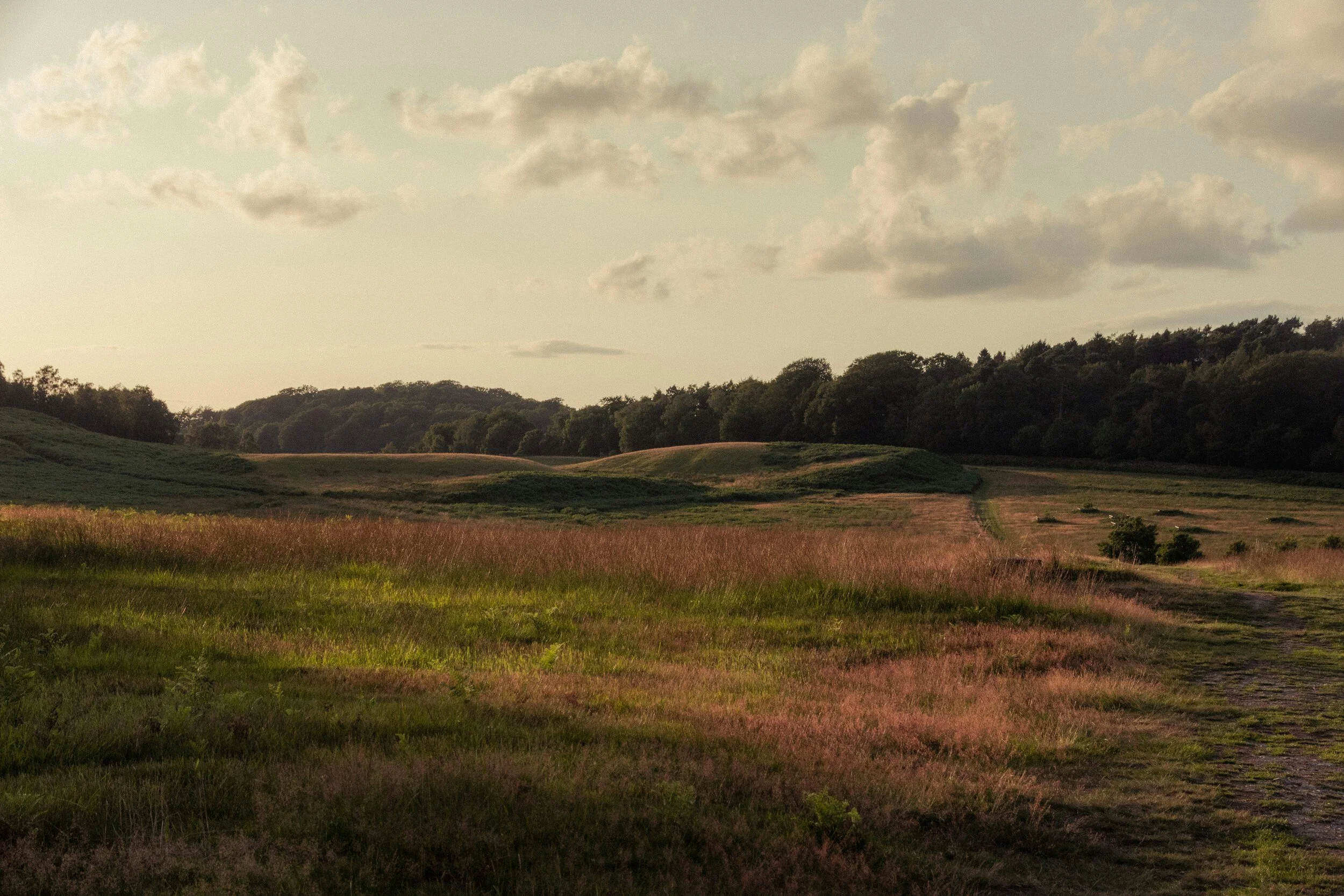 Biodiversity Net Gain for Land Managers