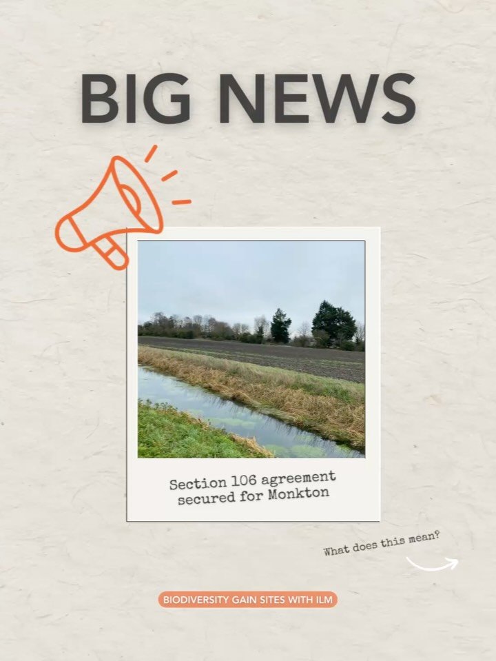 Another milestone for nature recovery! Monkton is the latest example of how farmers and landowners are helping shape the future of nature recovery - while creating long-term, sustainable income from their land.

This site will soon be registered to d