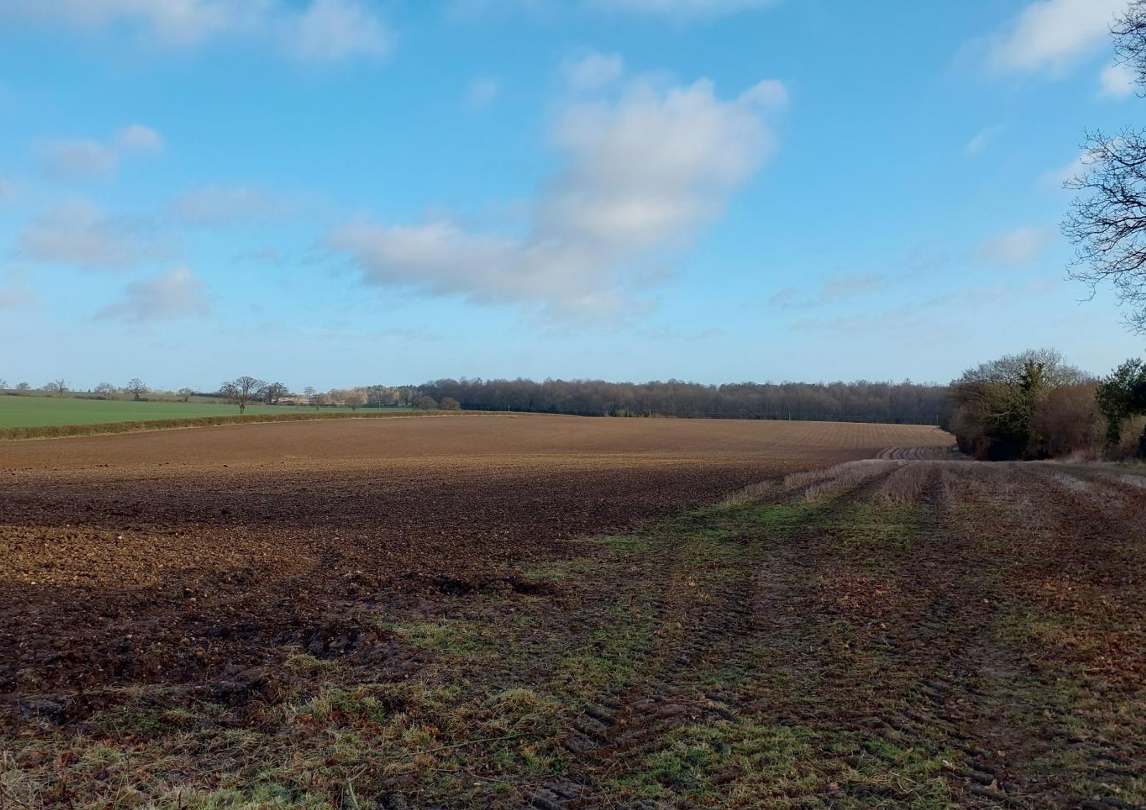 Bedmond | BNG Units in Hertfordshire