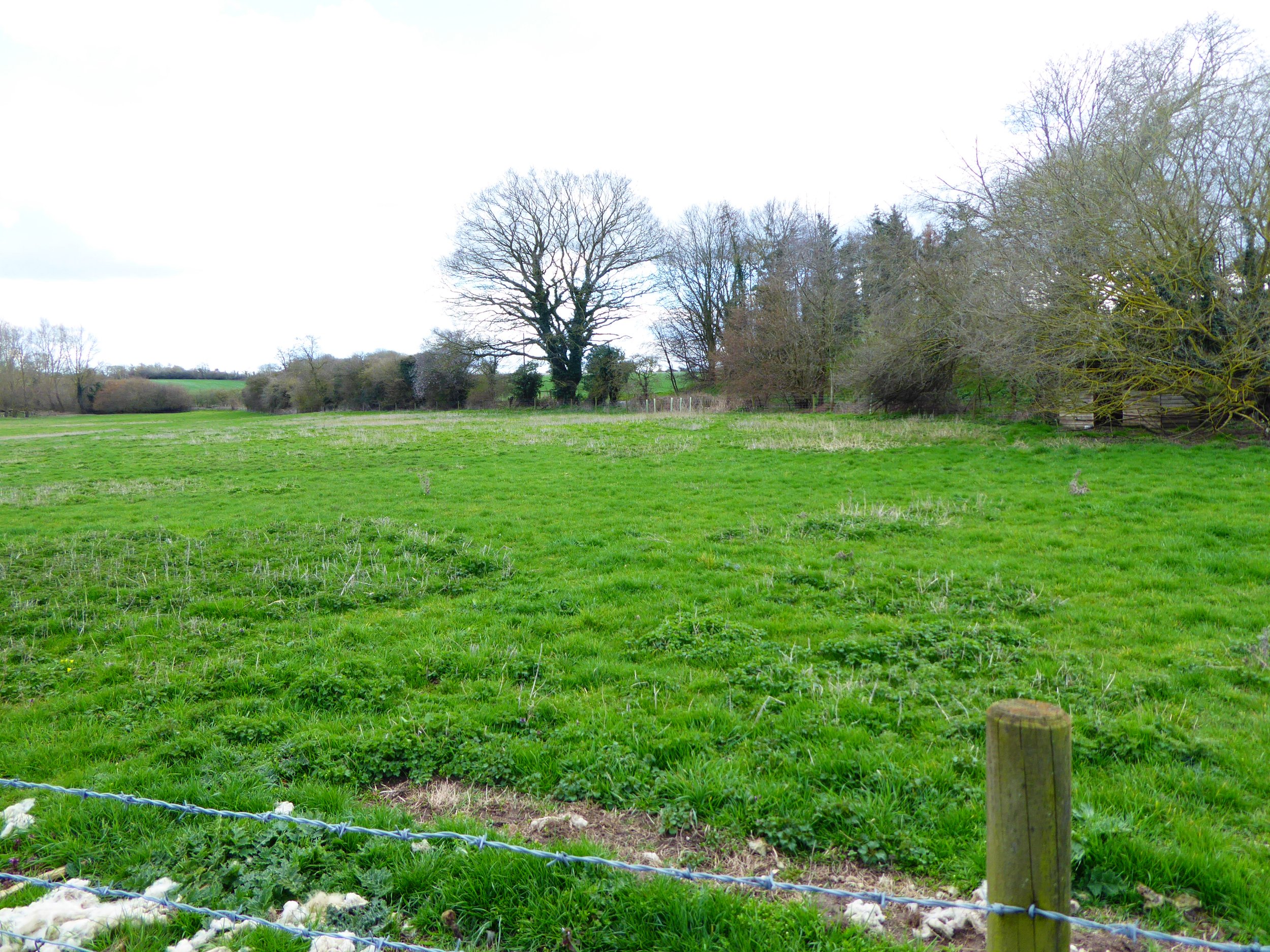 Bridge Farm | BNG Units in East Suffolk