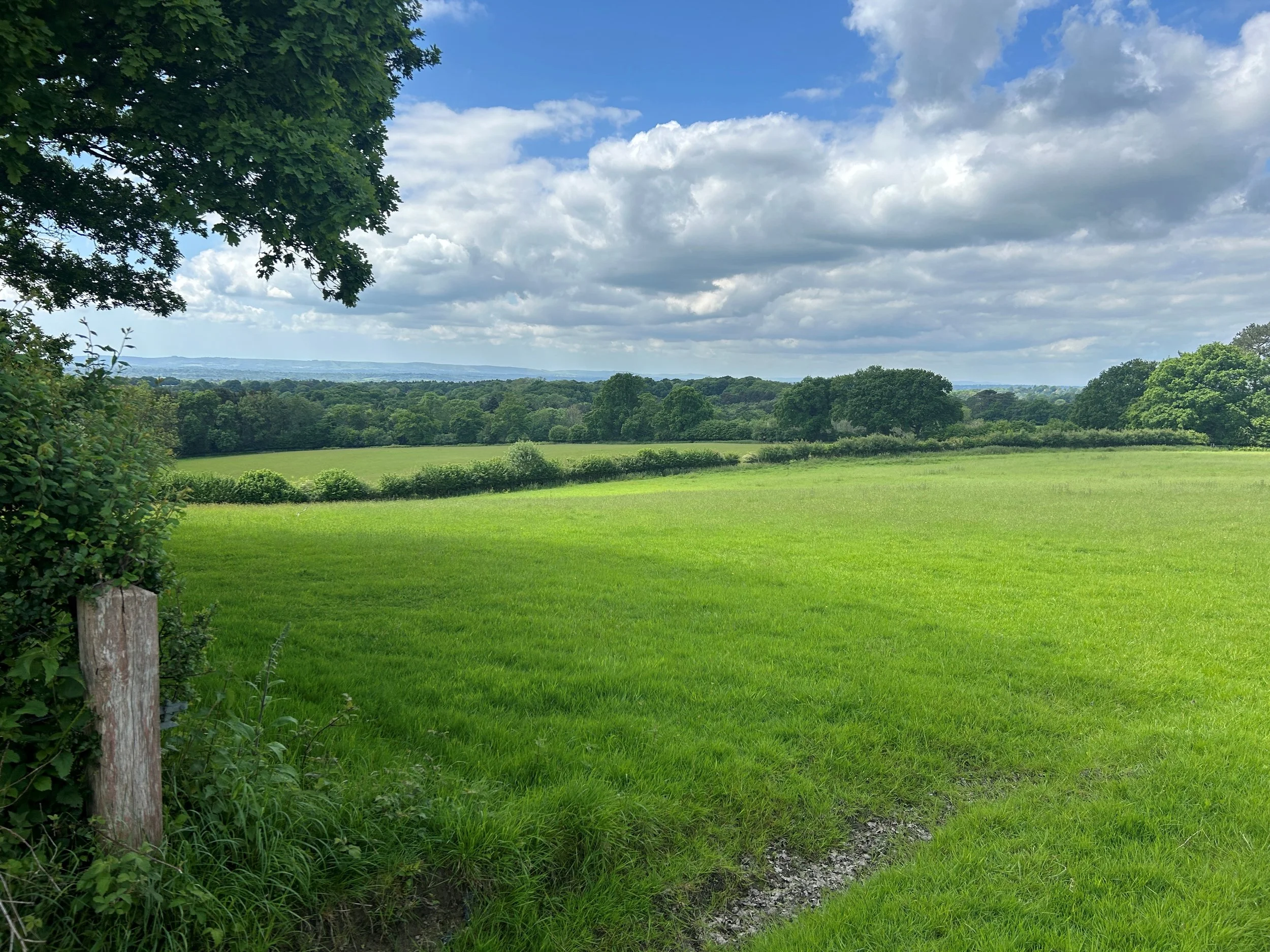 Masketts Farm | BNG Units in Wealden