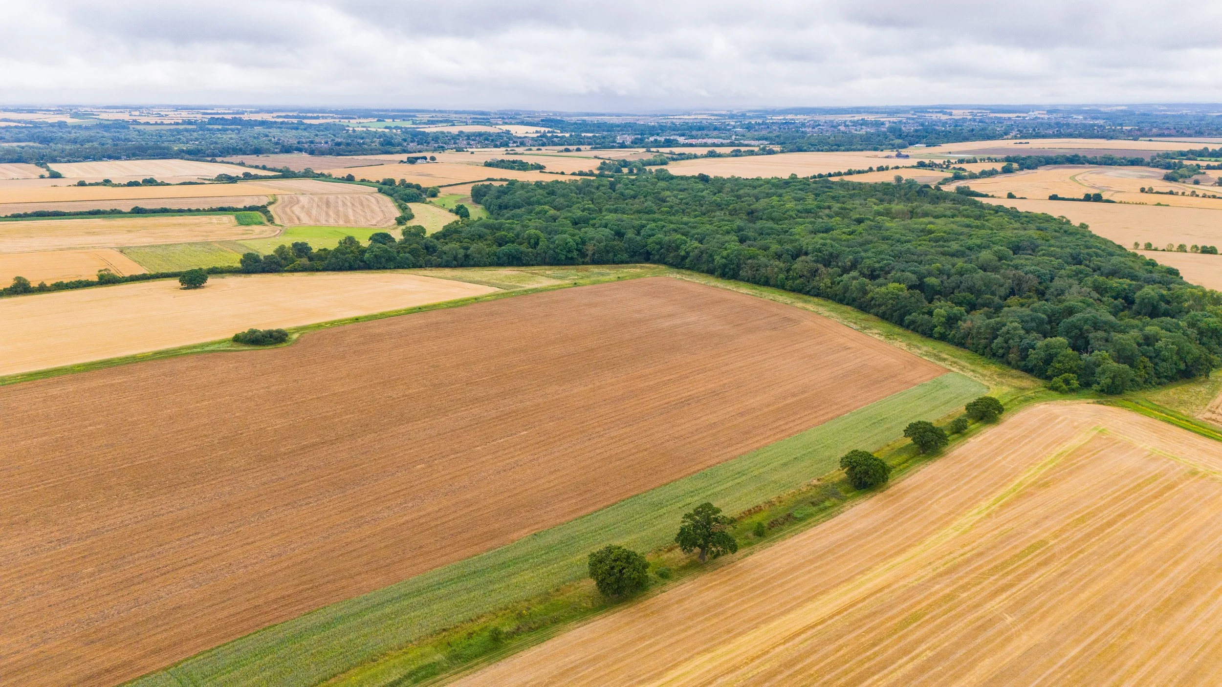 Paxton Wood South view.jpg