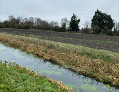 Monkton | BNG Units in Thanet