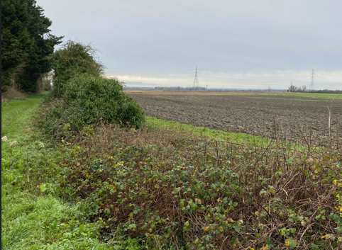 Screenshot 2025-02-06 132255.png