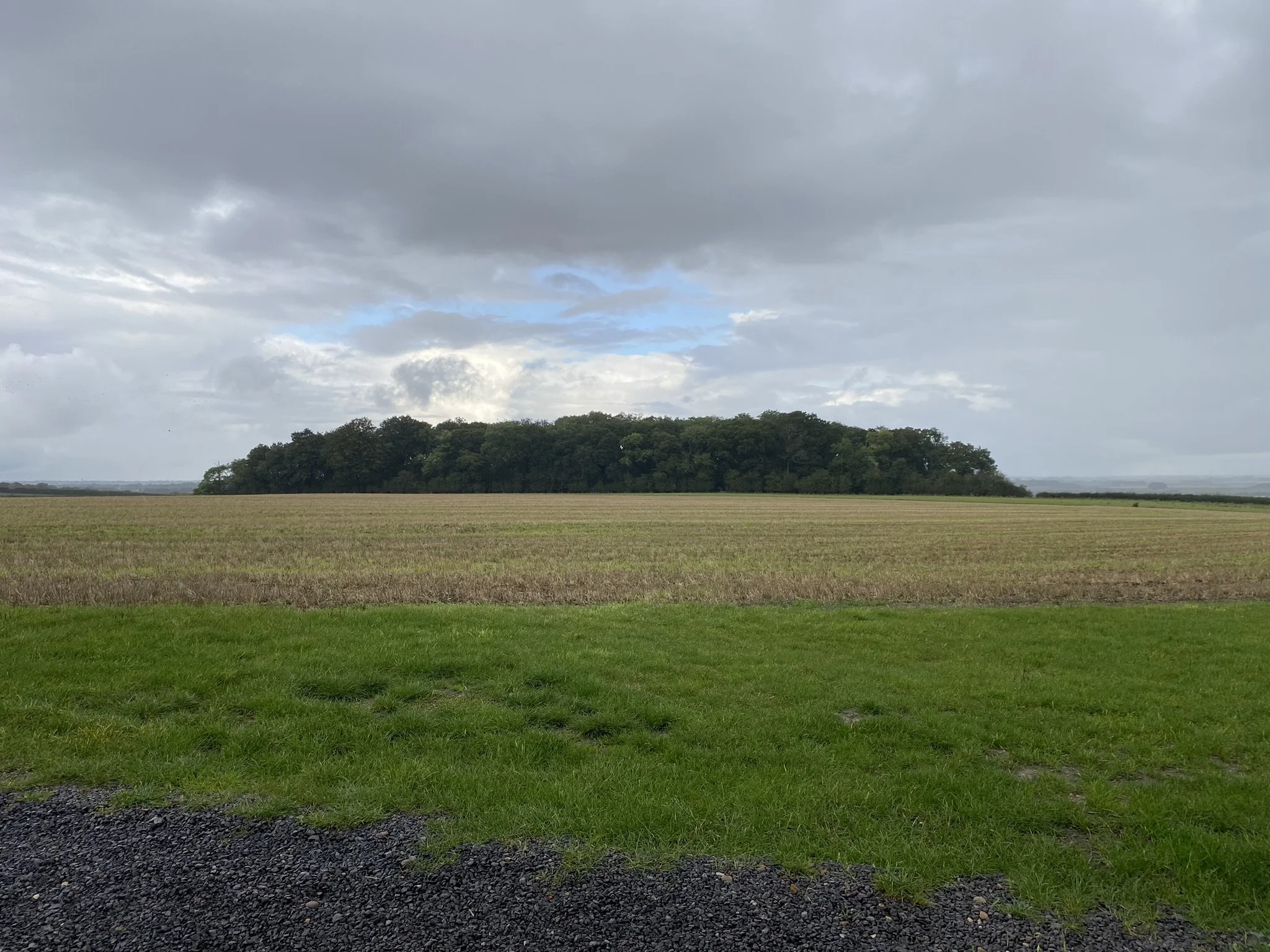 Sawtry | BNG Units in Huntingdonshire