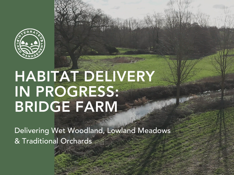 Habitat Creation at Bridge Farm Biodiversity Gain Site