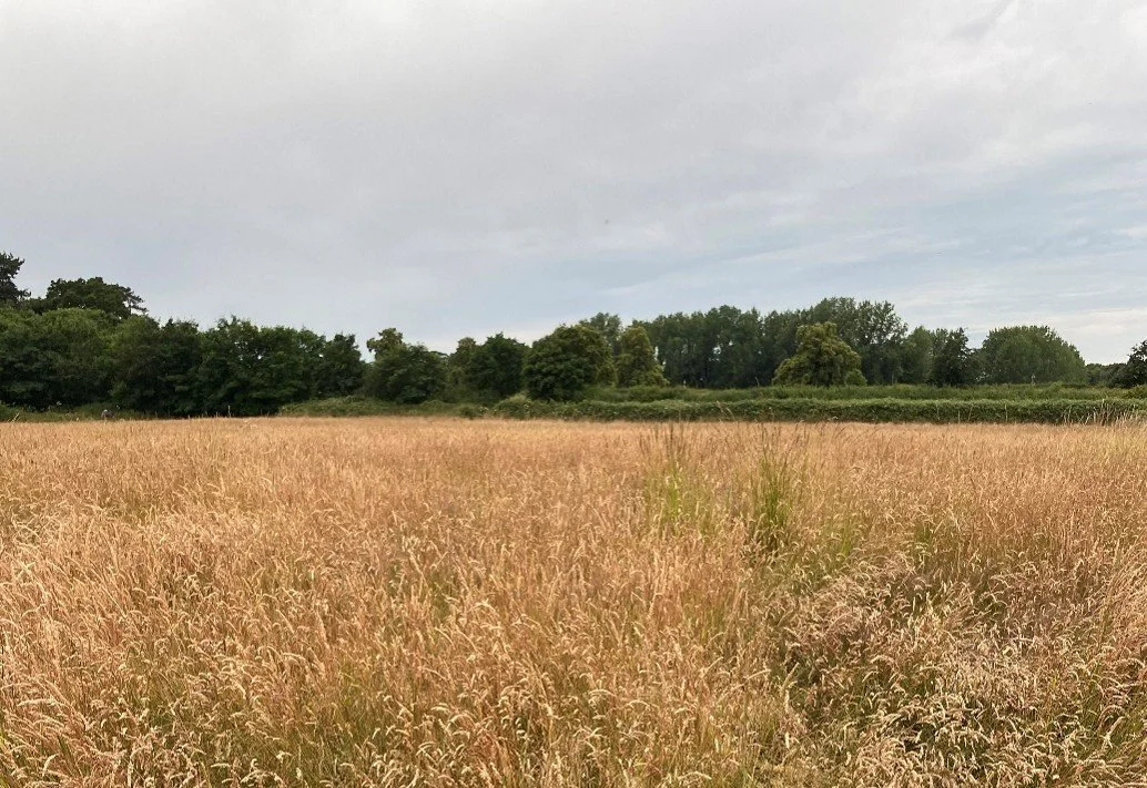 Doddington - The Orchard | BNG Units in North Kesteven