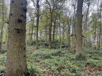 Doddington LMDW 2.jpg