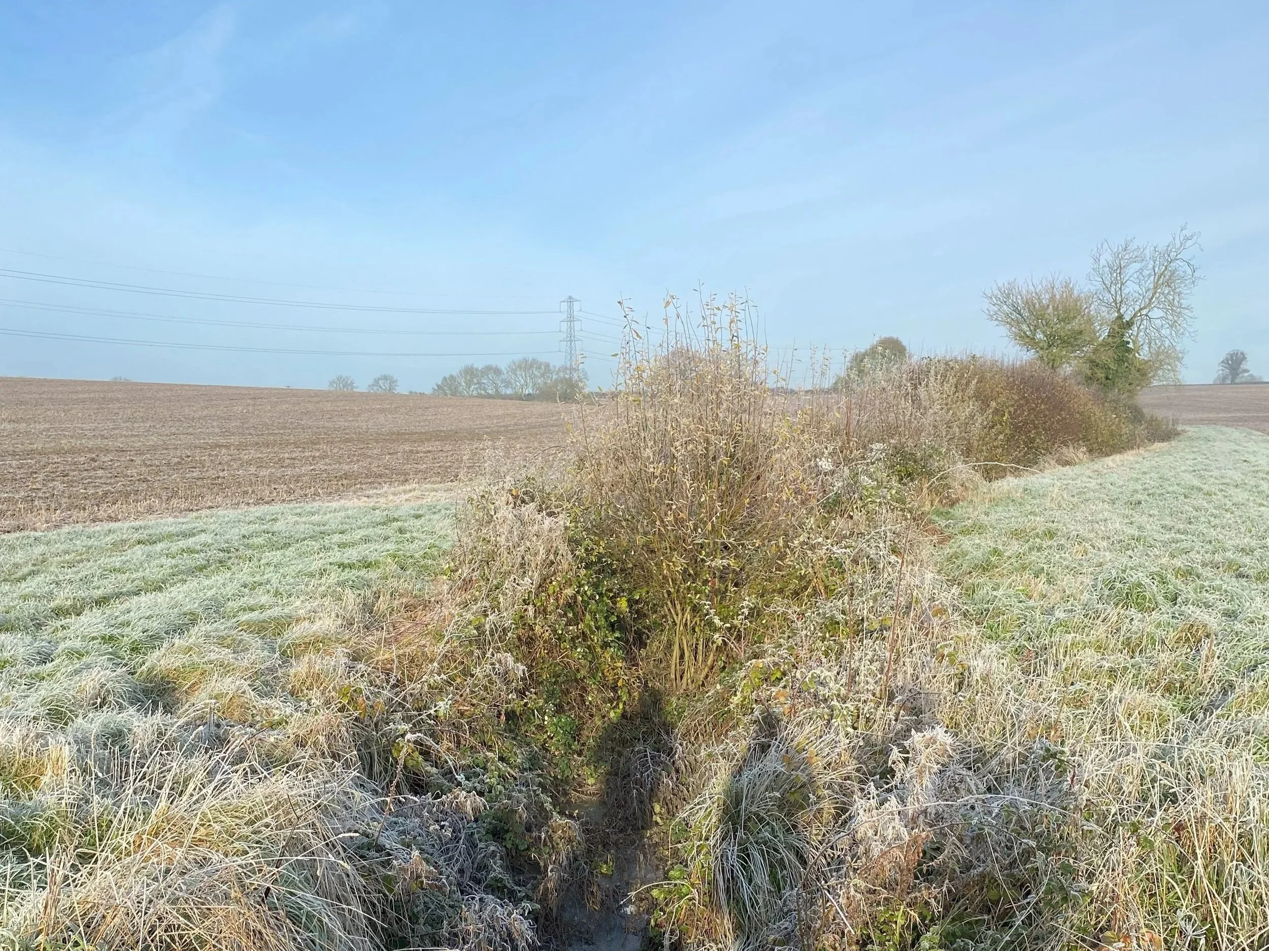 Leckhampstead | BNG Units in West Berkshire