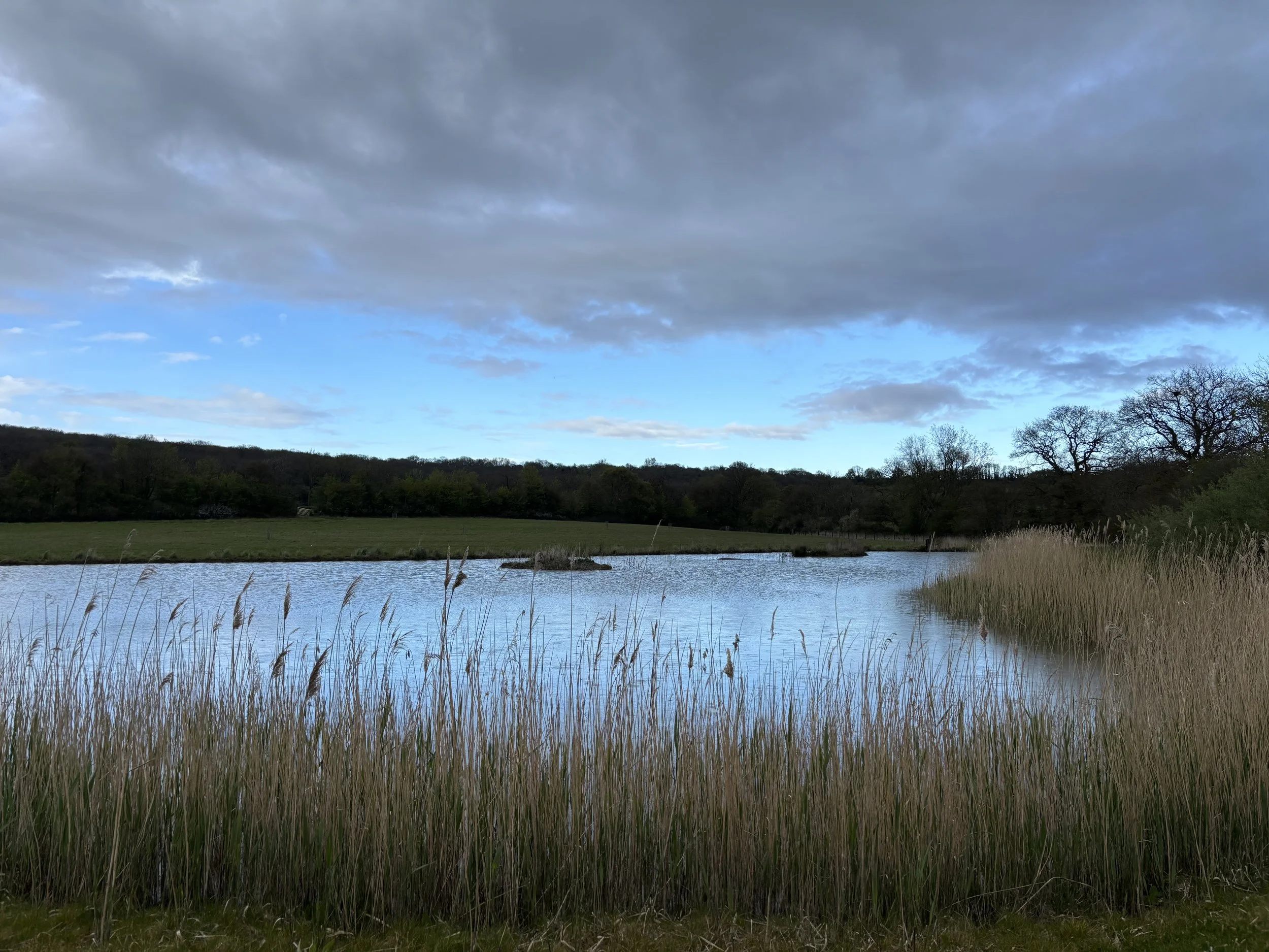 Wood Park | BNG Units in Wiltshire
