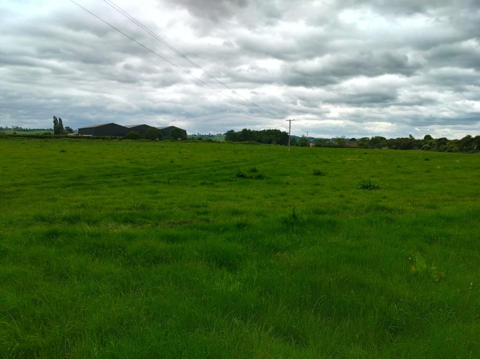 Melton Mowbray.png