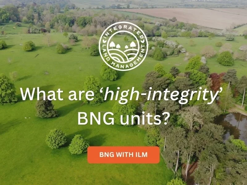 What Are High-Integrity BNG Units?
