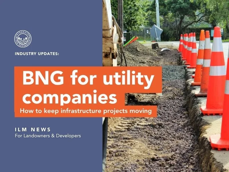 BNG for Utility Companies: How to Keep Infrastructure Projects Moving