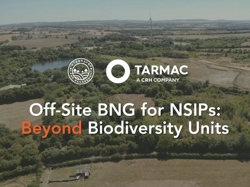 BNG Procurement for Major Infrastructure: Looking Beyond Biodiversity Units