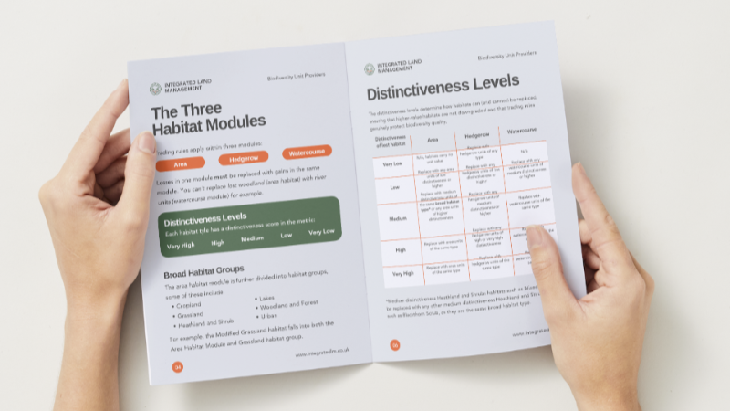 BNG Trading Rules Explained: A Developer’s Guide