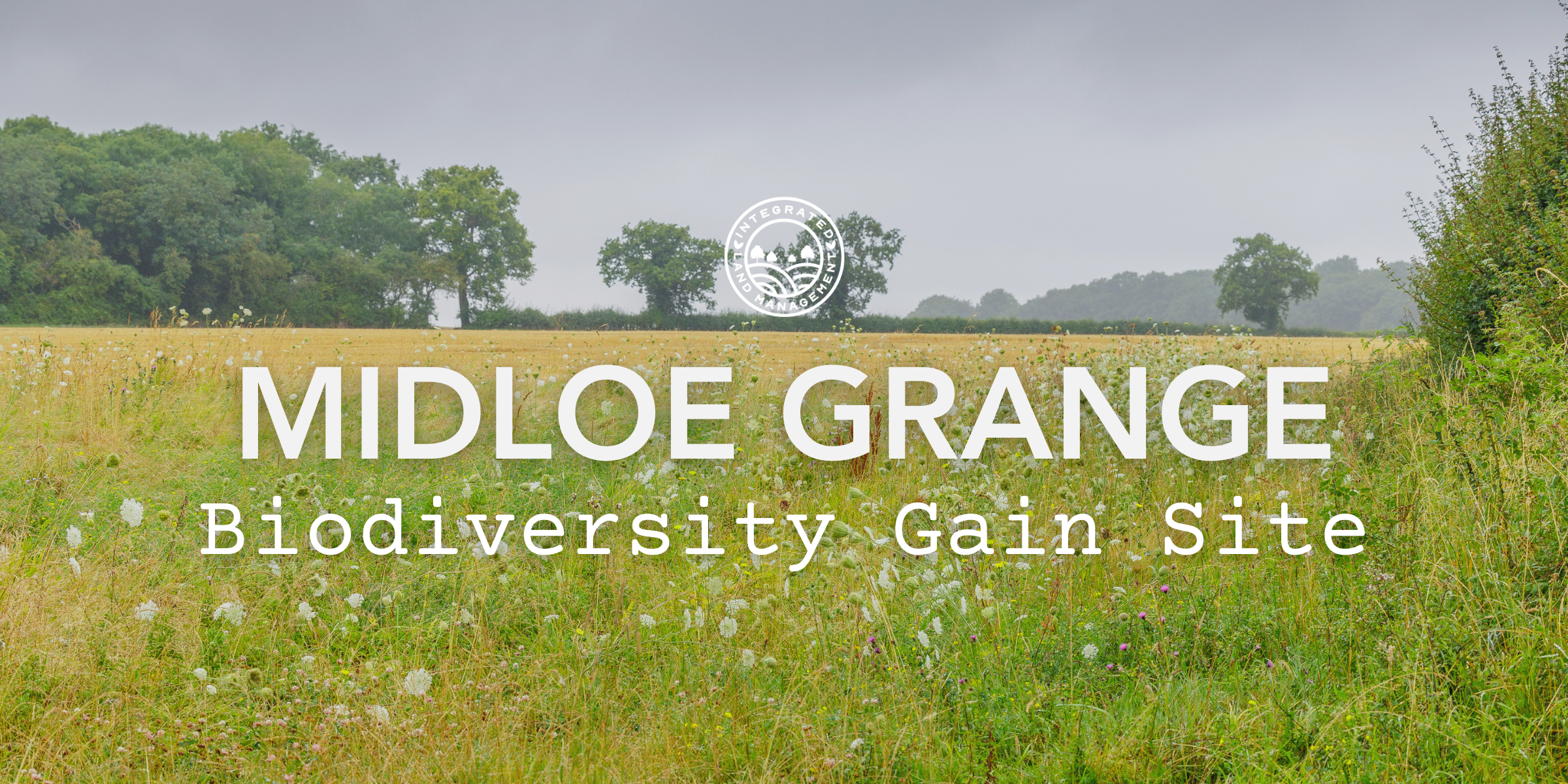 Midloe Grange Biodiversity Gain Site image showing open farmland and habitat features in Huntingdonshire within the Bedfordshire and Cambridgeshire Claylands National Character Area.