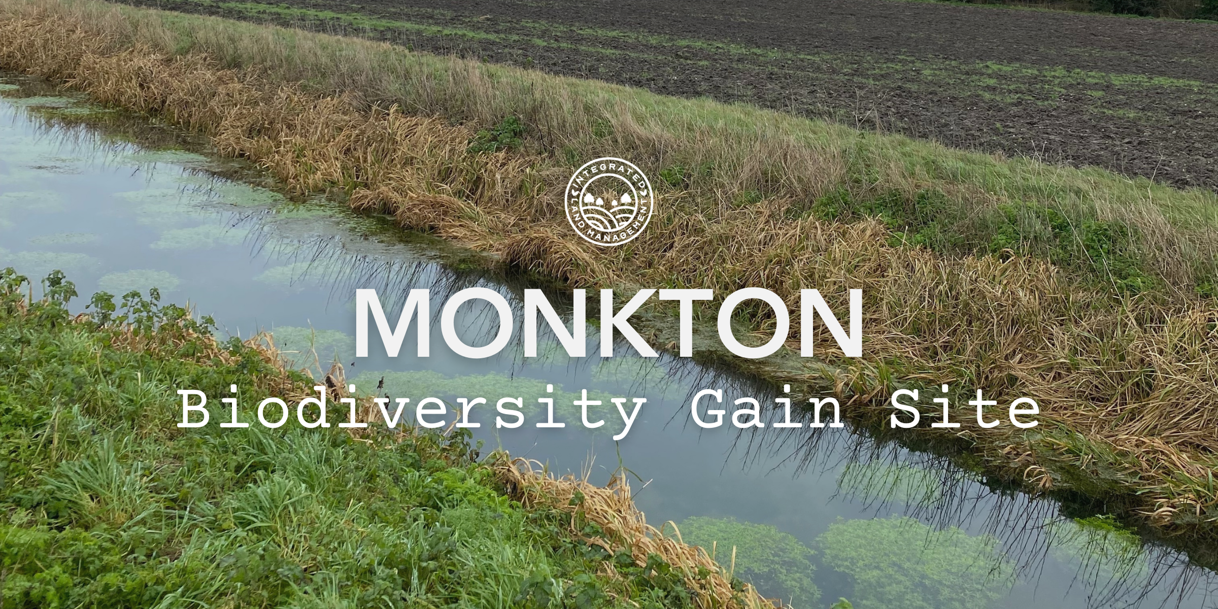 Monkton Biodiversity Gain Site in Thanet showing a vegetated drainage ditch and arable farmland within the North Kent Plain National Character Area.