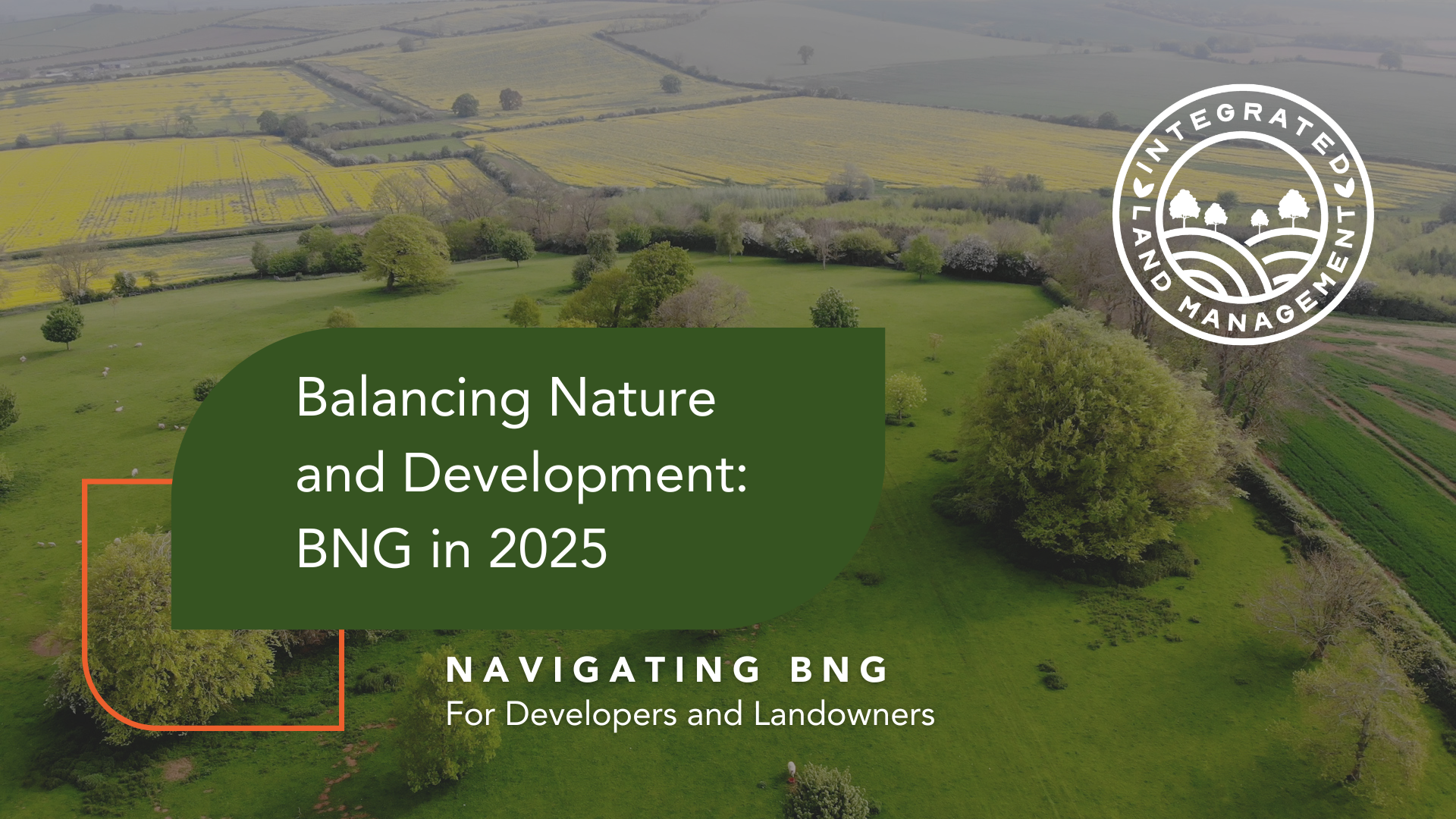 BNG in 2025: Key Changes & What Developers Need to Know