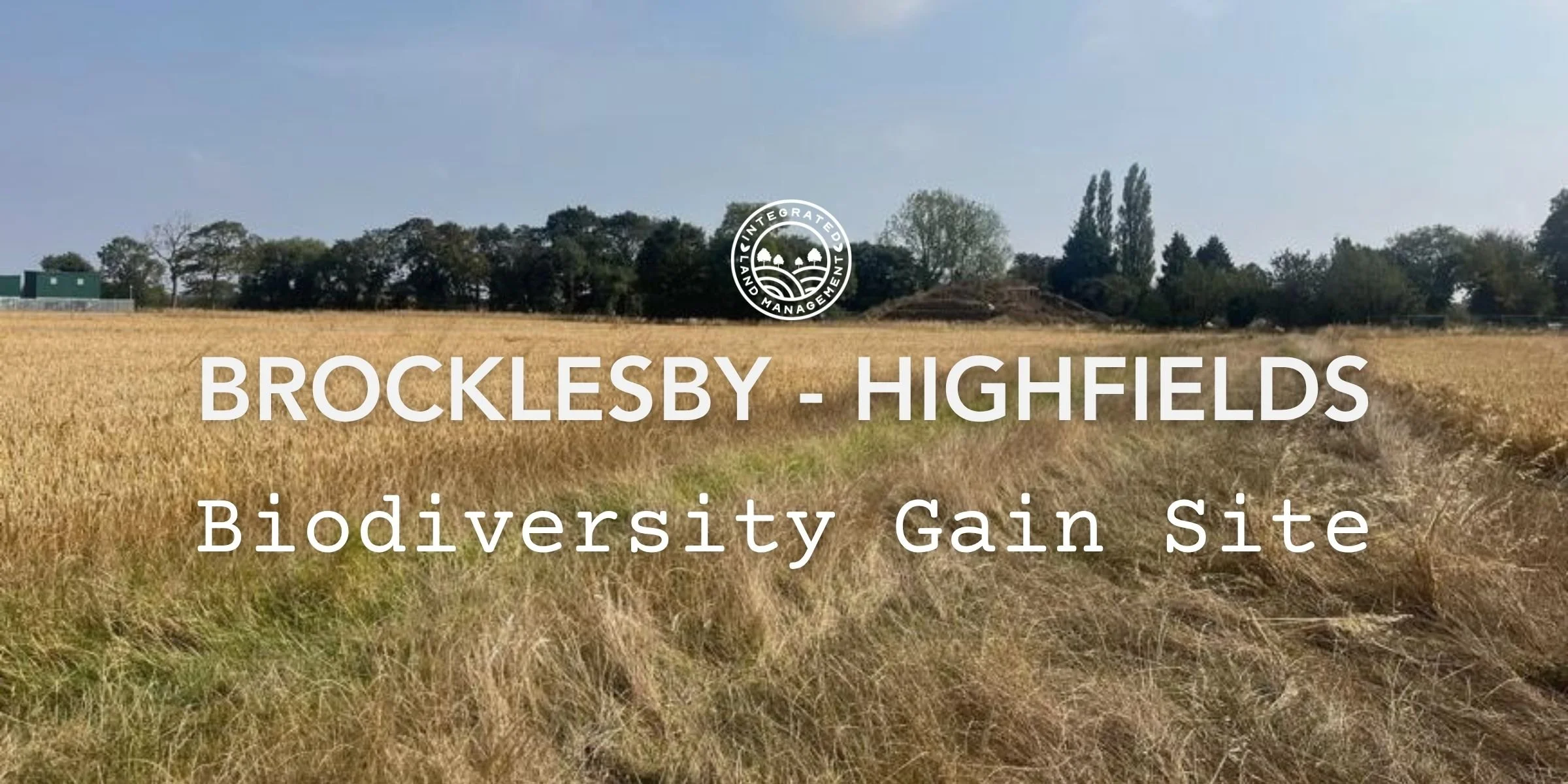 Brocklesby Highfields biodiversity gain site in North East Lincolnshire, a cropfield with trees in the background