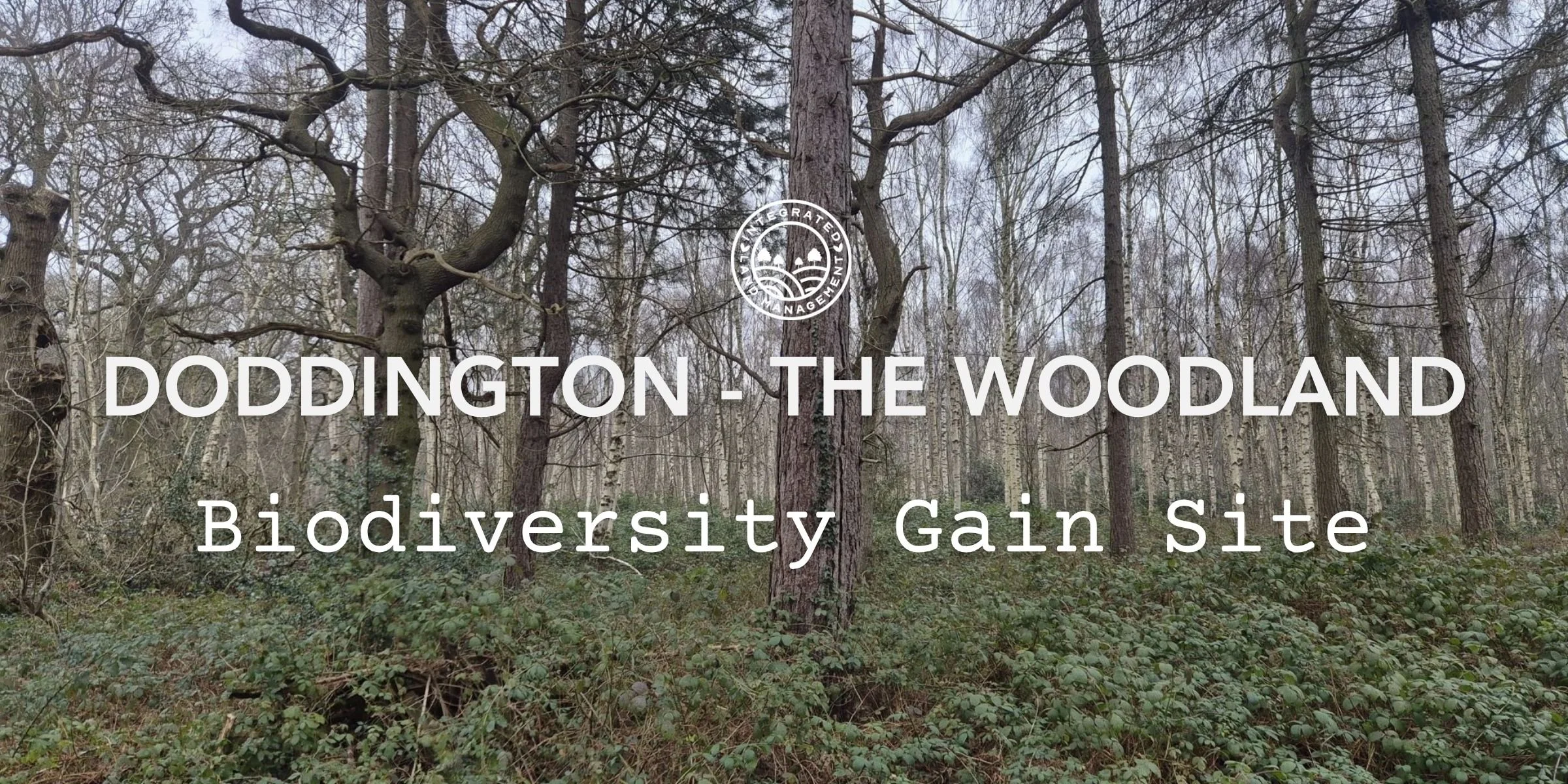 Doddington woodland biodiversity gain site