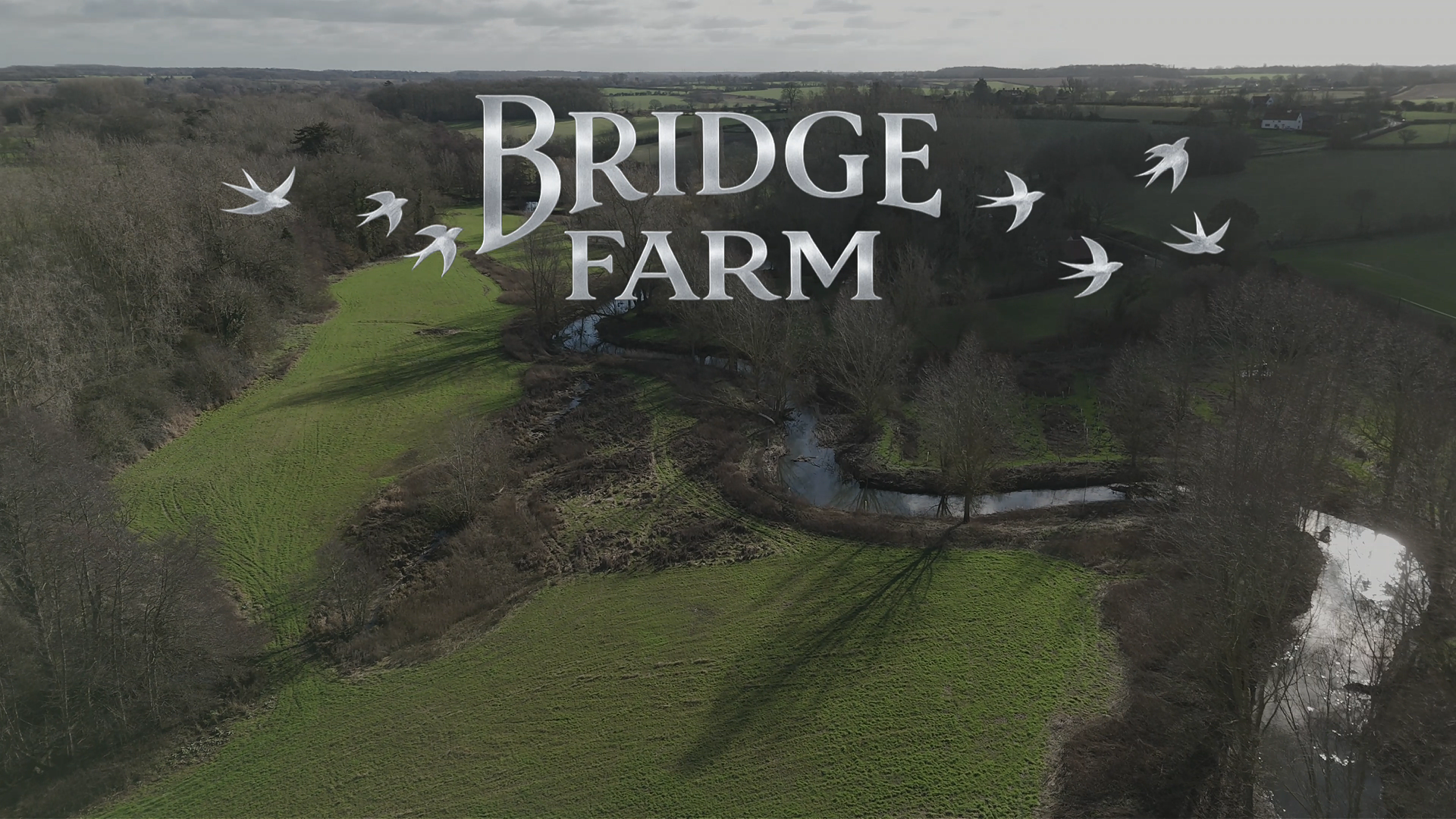 A drone view of Bridge Farm biodiversity gain site with a river meandering through fields and trees