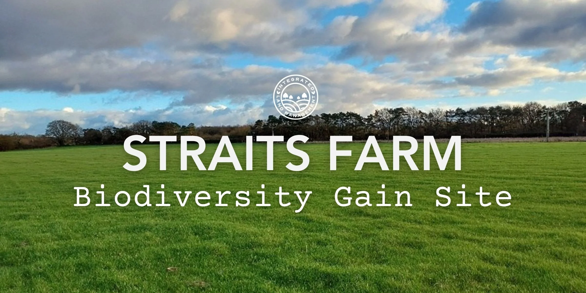 Straits Farm biodiversity gain site, grassland with lines of trees in the background under a cloudy blue sky