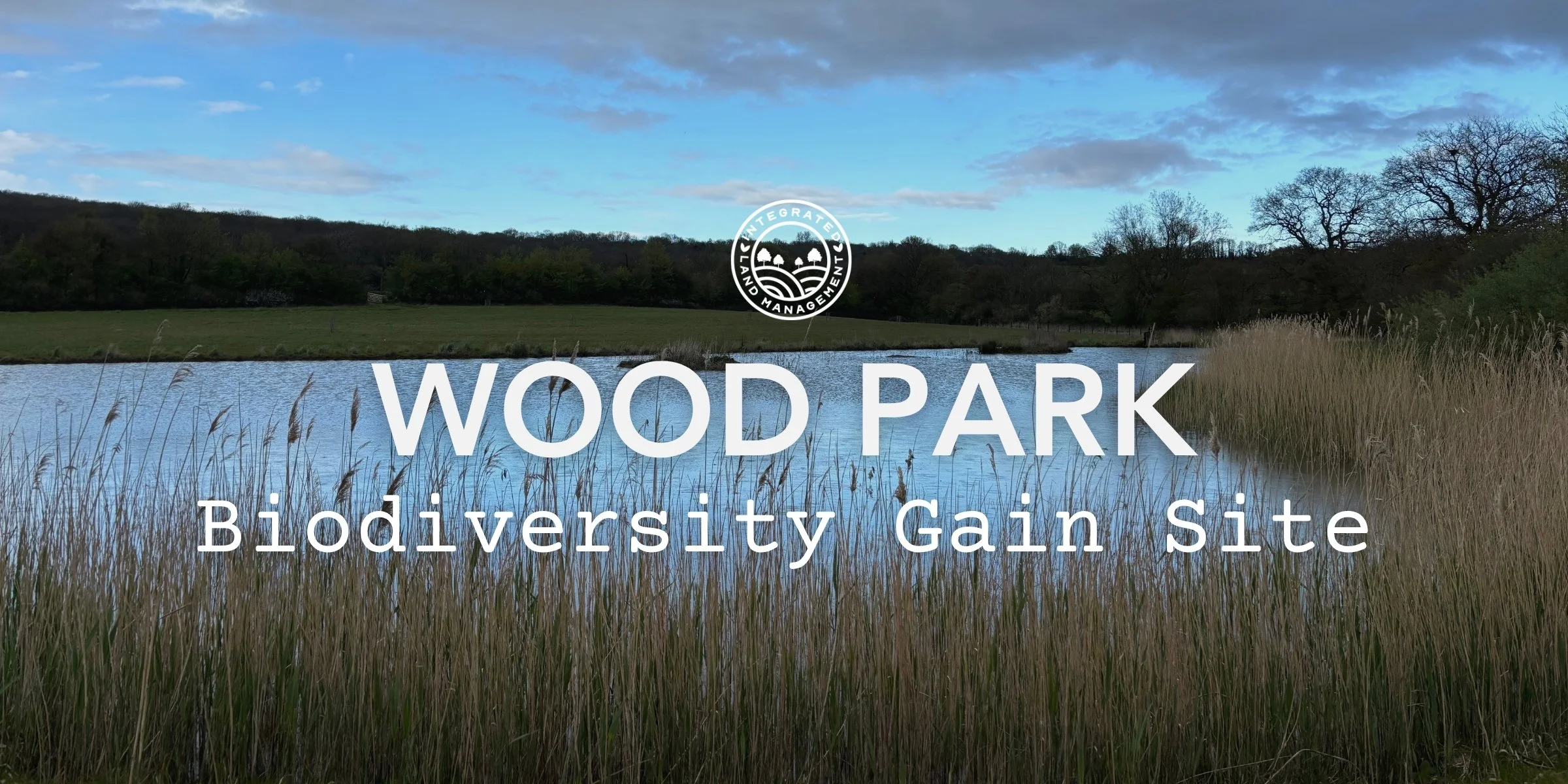 Wood Park biodiversity gain site with reedbeds and a lake, grassland and woodland in the background